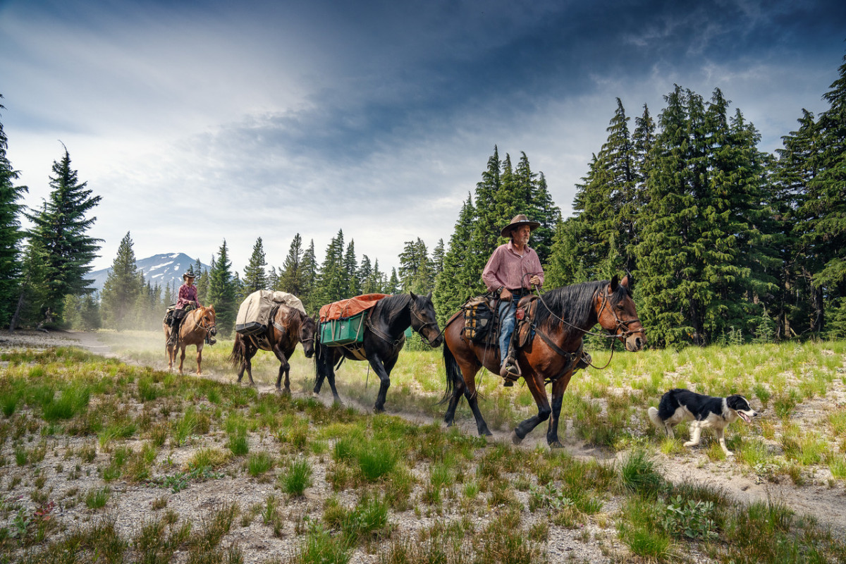 Long Way Home – 5000 km durch Amerika - Explora Live Reportage