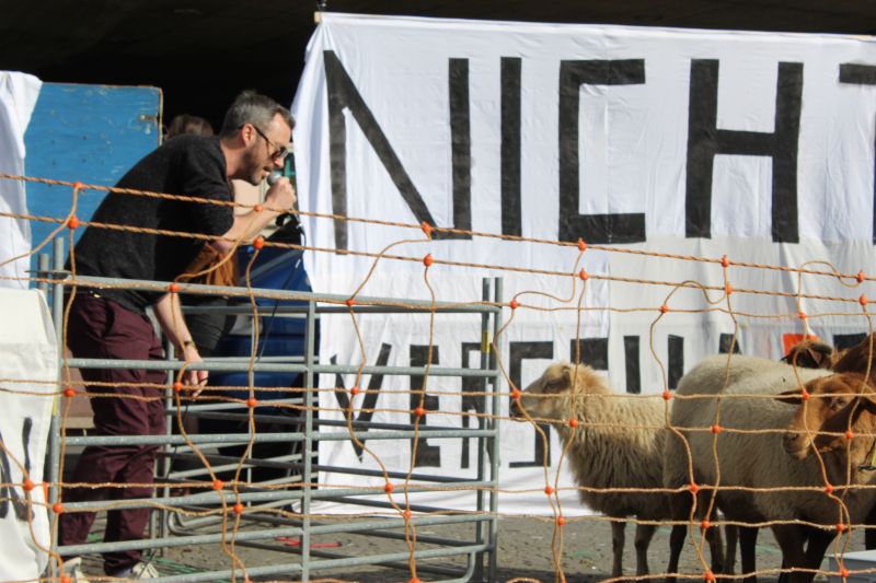 Passive Künstler? Von wegen!